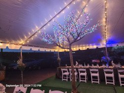 Led20light20up20cherry20blossom 1727209780 Led light up cherry blossom tree