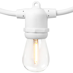 White Edison String Light 50'