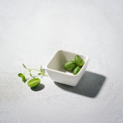 Deep Square Sauce Dish, White, 2.5