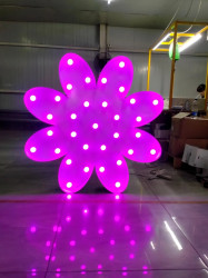 PHOTO 2023 02 28 02 29 18202 1700491376 Flower